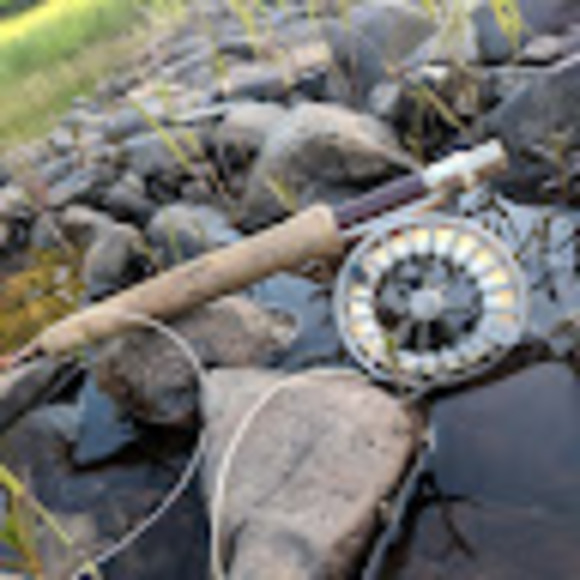 Meet your Posher, Ethan - Picture 1 of 1